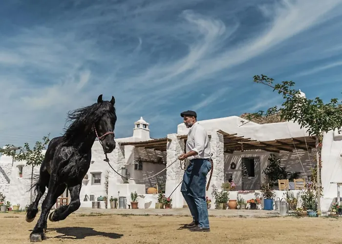 Rizes Mykonos - Folklore Farmstead 팜스테이 *